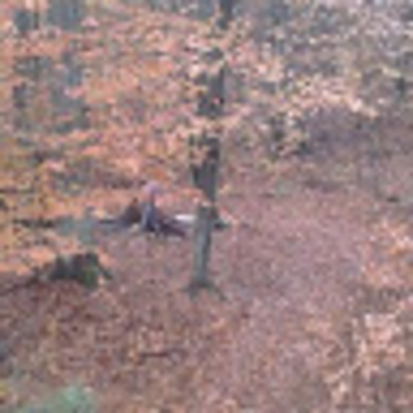 Meet your Posher, Chantal - Picture 1 of 1